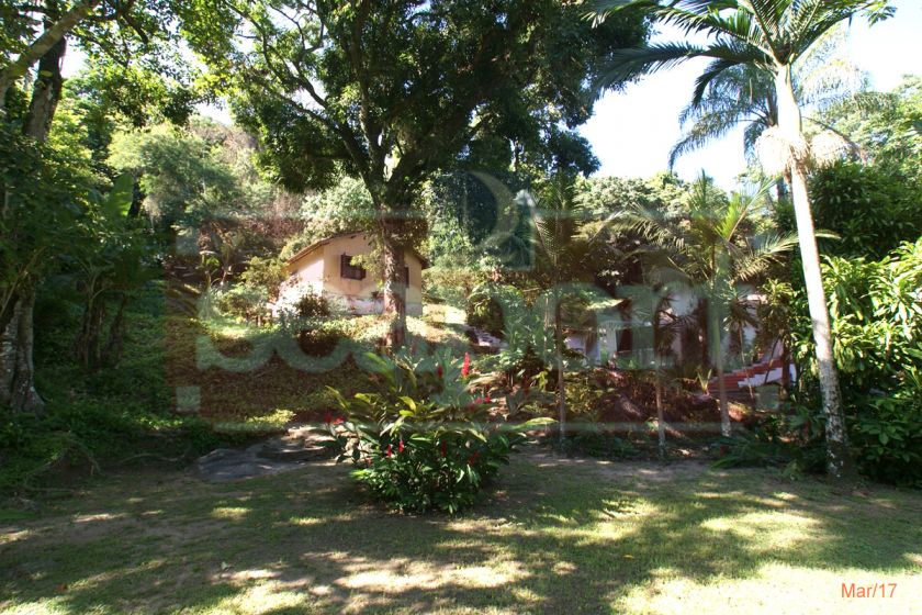 Jardim 