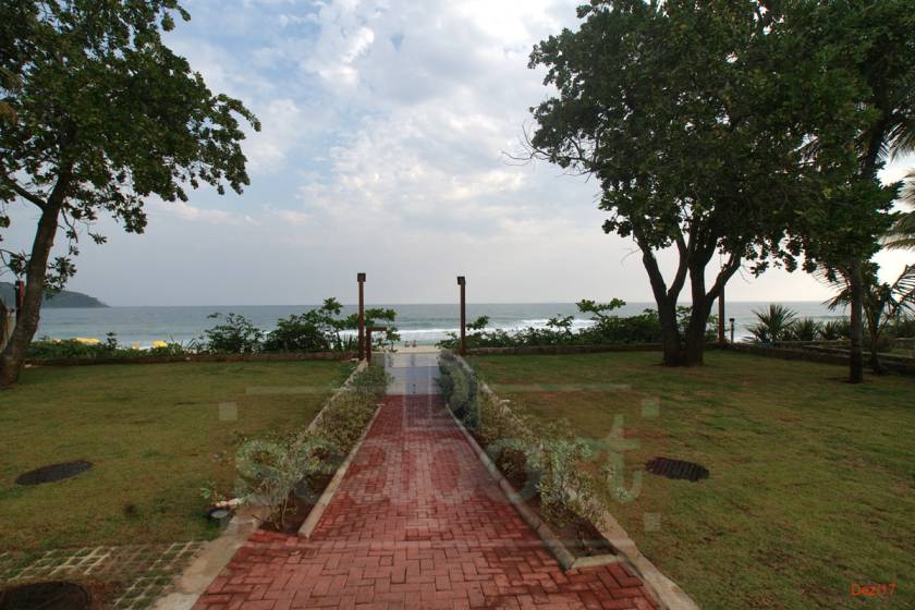 Jardim pé na areia Jardim pé na areia