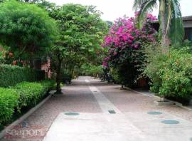 Rua interna do Condomínio