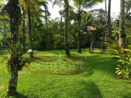 Jardim Frente ao Mar 