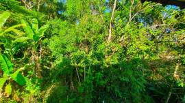 Suíte2 com vista para a área verde de preservação do condomínio que possui 26.850m²