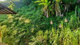 Suíte3 com vista para a área verde de preservação do condomínio que possui 26.850m²