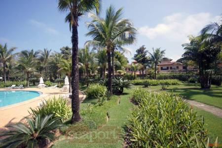 Jardim e rua interna 