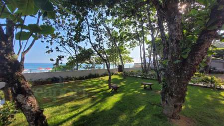 Jardim  Frente ao mar 