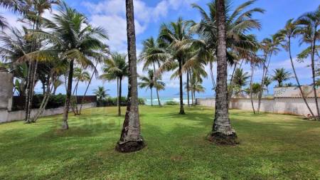 Jardim Frente ao Mar 