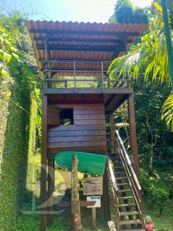 Casa na árvore  playground