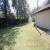 Jardim