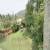 Campo