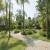 Jardim