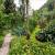 Jardim 
