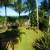 Jardim 