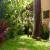 Jardim