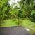 Jardim 