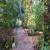 Jardim comum 