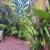 Jardim 