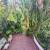 Jardim 
