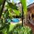 Piscina Jardim e Varanda