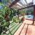 Piscina e Pergolado 