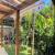 Jardim 