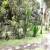 Jardim 