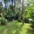 Jardim 
