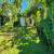 Jardim 
