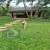 Jardim 