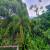 Garagem Vista 