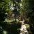 Jardim e ruas internas 