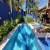 Piscina e Jardim 
