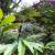 Jardim 