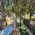 Jardim 