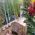 Jardim 
