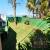 Deck Espaço Pet 