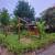 Jardim