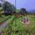 Jardim