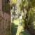 Fachada Jardim