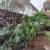 Jardim 