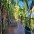 Deck Piscina 