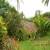 Jardim 