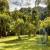 Jardim