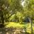Jardim