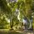 Jardim