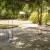 Jardim