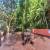 Piscina Deck 