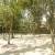 Ãrea de marinha 