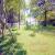 3Jardim