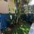Jardim