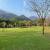 Grande área verde 