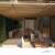 Perspectiva Estudo Preliminar 